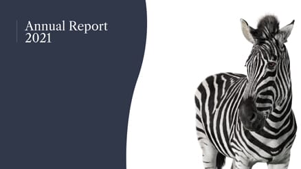 2021 Investec Ltd Annual report