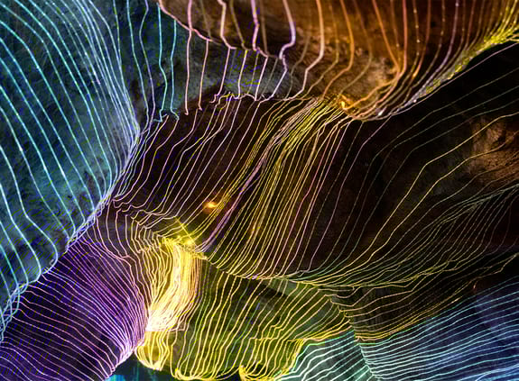 Investec Cape Town Art Fair 2024 16 18 February