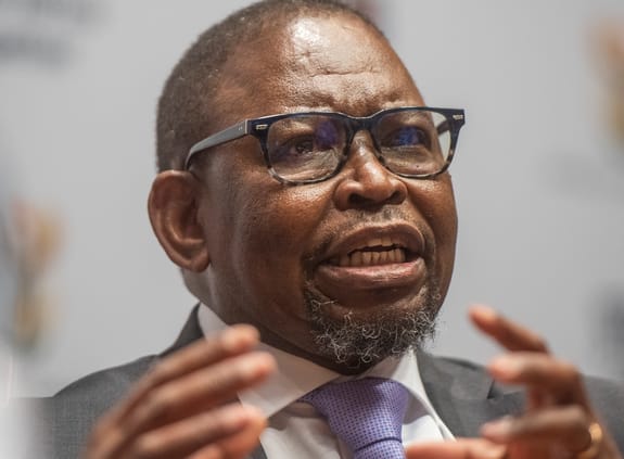 Enoch Godongwana at Budget Speech 2024