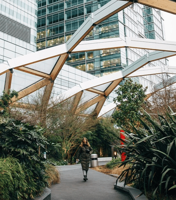 urban garden near office blocks