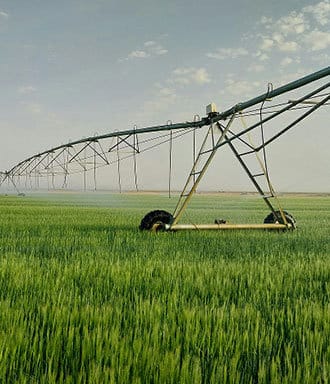 Crop straying