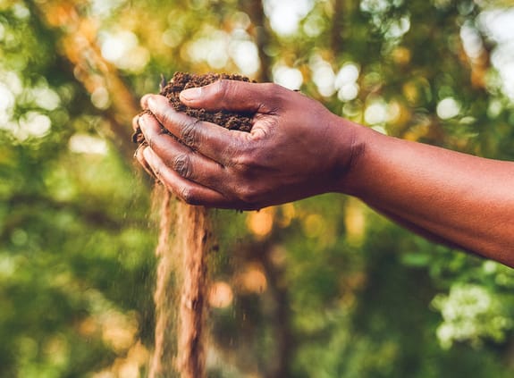 Hand in soil