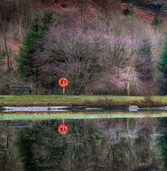 life ring on the side of a lake