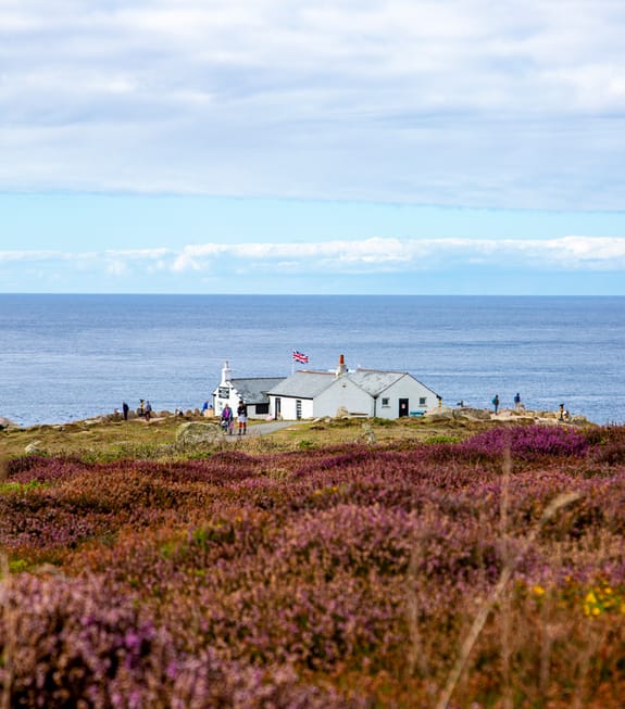 A white house sits atop a cliff, bordered by ocean and purple heather