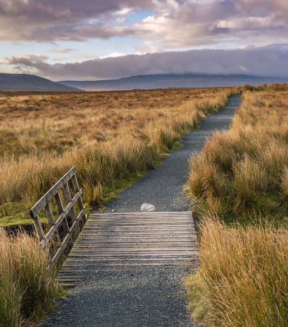 Small bridge over a trecking path in grassland