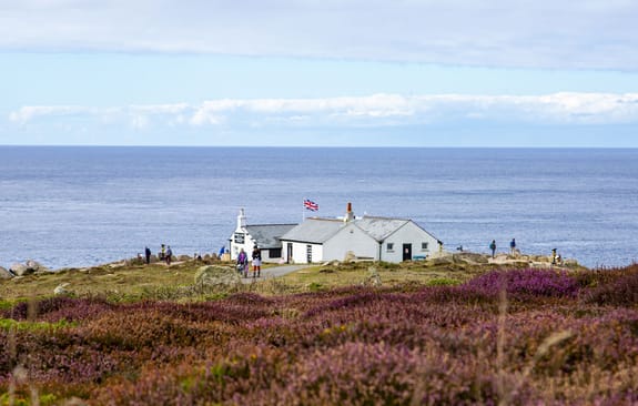 White seaside cottage surrounded by purple heather