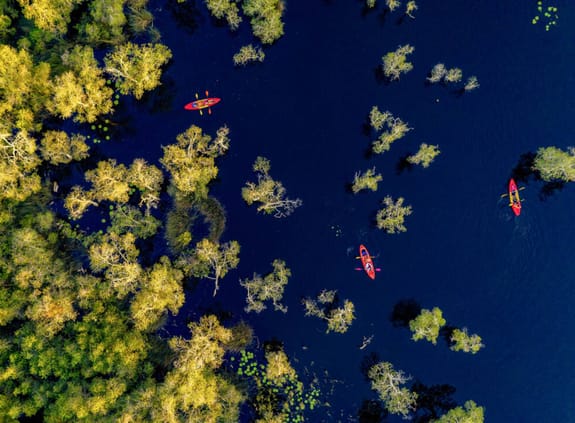 Looking down on canoeists on a tree lined lake