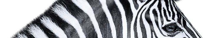 About Investec Ireland
