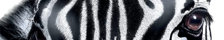 Corporate Responsibility header image