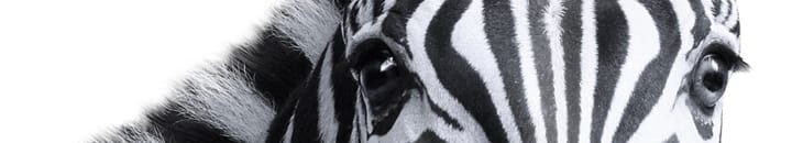 Investec investment services for private clients