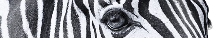 Investec business finance