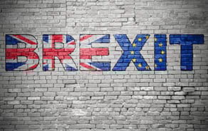 Brexit Issues