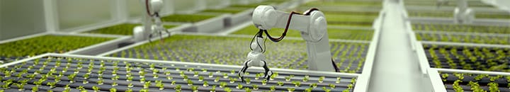 AI Robots picking plants