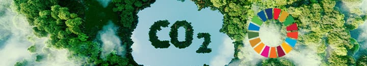 CO2 text sitting on top of forest viewed from above