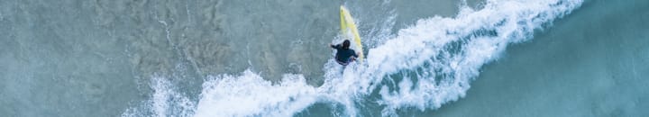 Surfing the wave of information overload