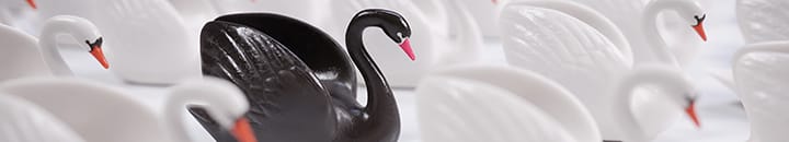 investment black swan