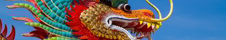 Enter the dragon