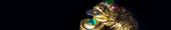 Brulpadda – Let’s not squander the “money toad”