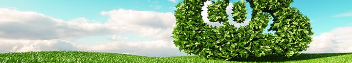 Landscape with the letters CO2 in a bush