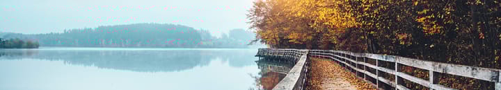 autumn of life