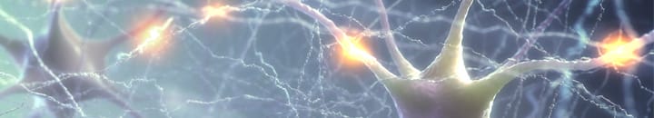 Neuroscience