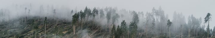 Climate damage