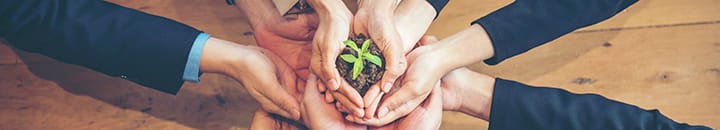 co-workers holding on to a small plant