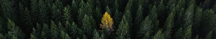 Nature's diversity