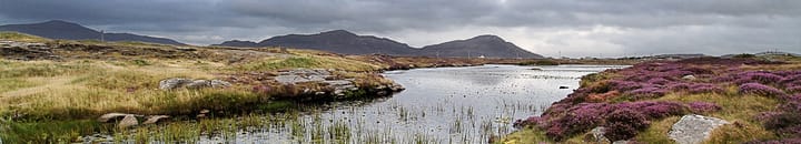 UK peatlands