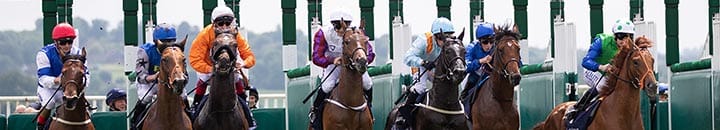 Horses at the starting line of the Investec Derby