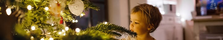 Child looking at Christmas tree