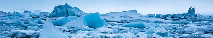 Frozen Landscape