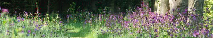 Virtual Garden Tours