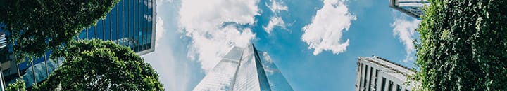 Looking up at an office tower surrounded by trees