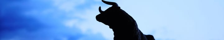 How to reconcile the bulls and bears when it comes to structured investments