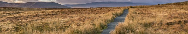 Path through rugged countryside