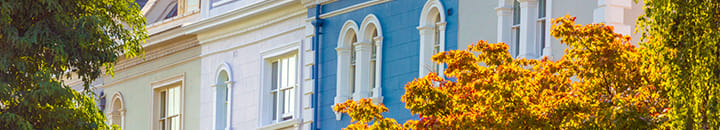 Coloured town houses with trees infront