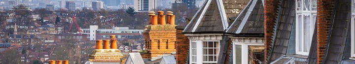 Houses with city in backdrop