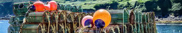 Lobster Pots