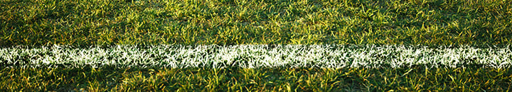 Rugby pitch try-line