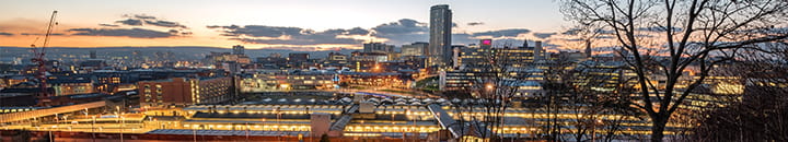 Sheffield skyline from steps