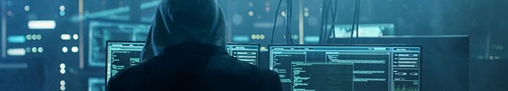 cyber crime 