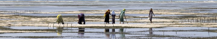 Water crisis