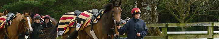 Ballydoyle training facility