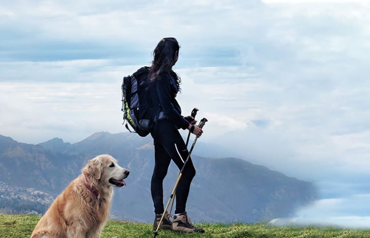 Female hiker looks out with Golden Retriever by her side