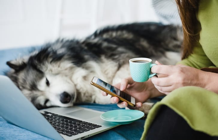 Husky cuddles up on the bed to woman with coffee, phone, and laptop