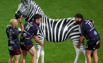 Players move Investec zebra onto pitch to be part of the celebrations