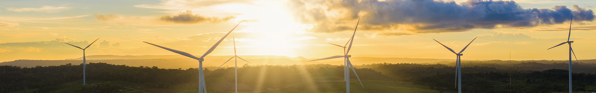 Wind farm at sunset