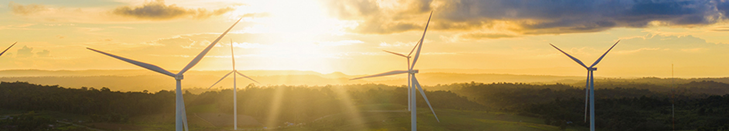 Wind farm at sunset