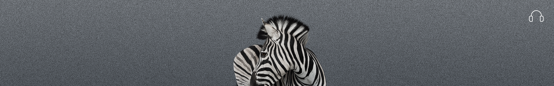 Investec Focus Radio SA
